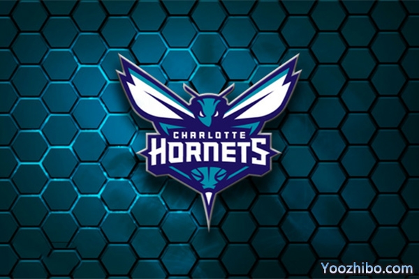 2019-2020赛季<a href=/lanq/hornets/ target=_blank class=infotextkey>黄蜂</a>队队徽